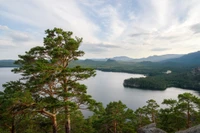 Тихая дикая природа: живописный вид на сосны, overlooking спокойное озеро и холмистые горы.