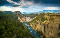 yellowstone national park, usa, cliff, river stream, landscape