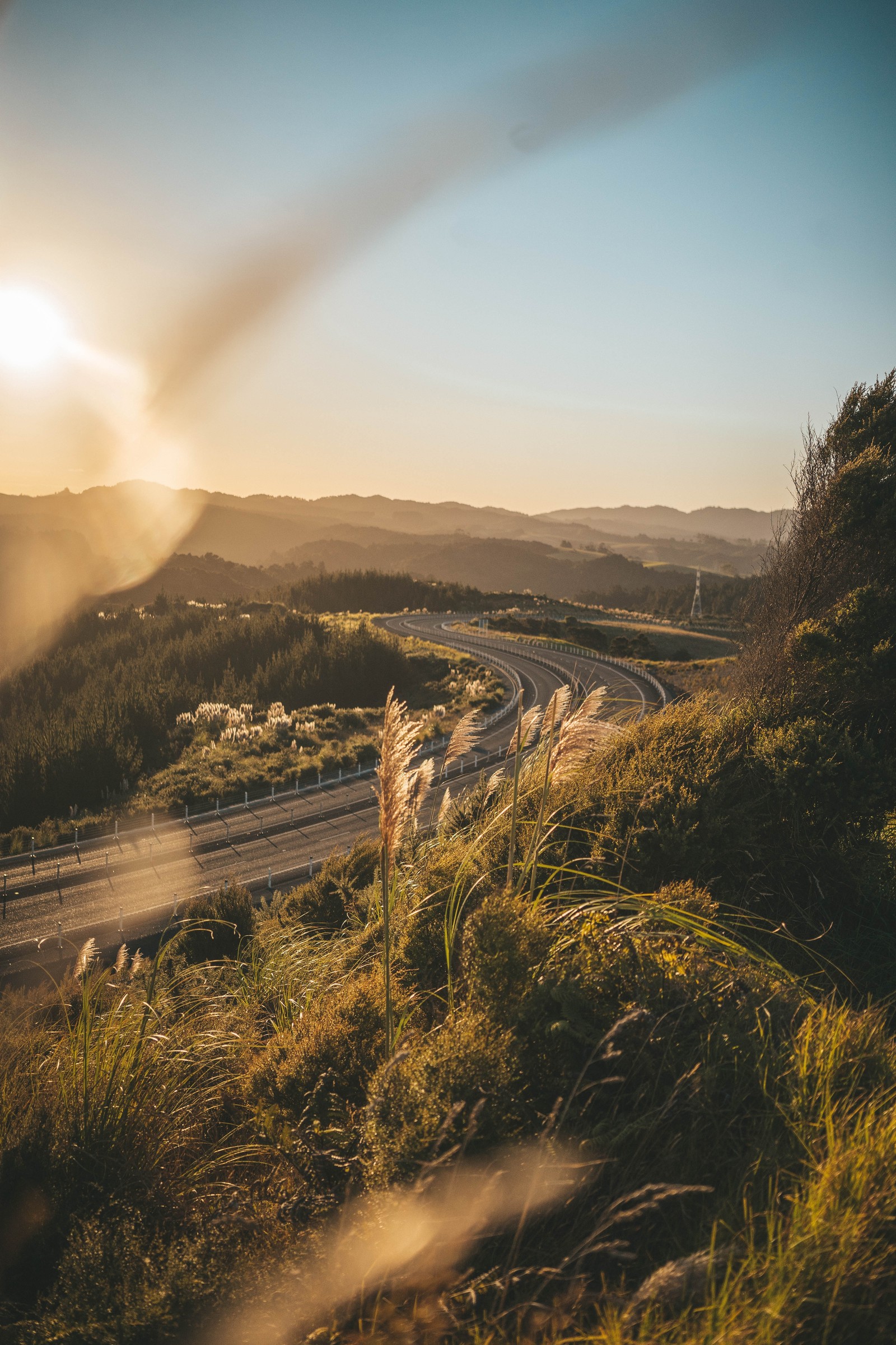 Araffes on a road with a sunset in the background (nature, sunlight, light, natural landscape, cloud)