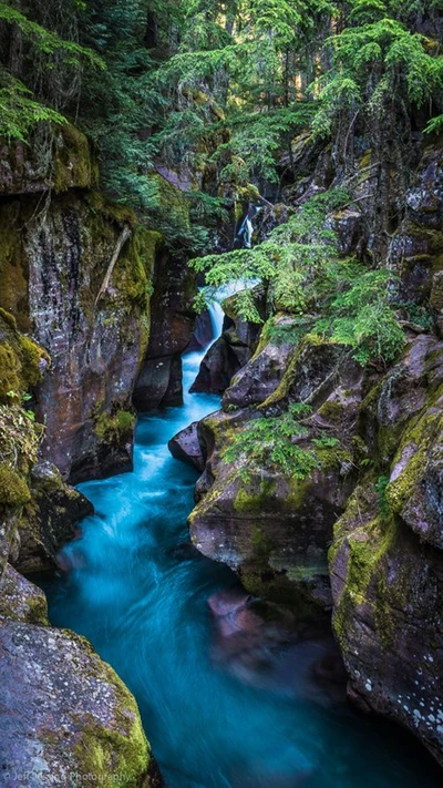 Rivière sereine coulant à travers un canyon forestier luxuriant