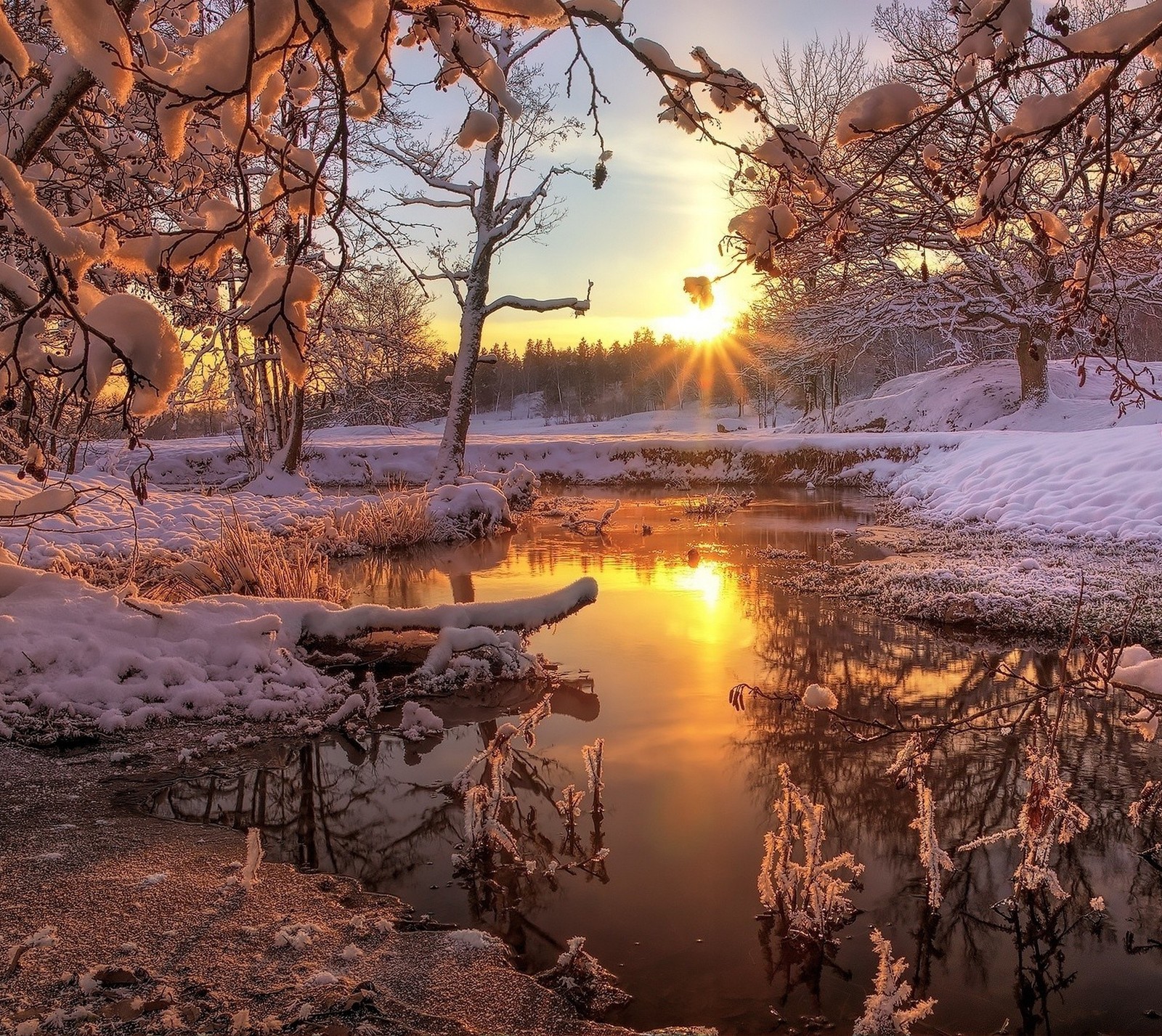 frozen, landscape, nature, snow, sunrise wallpaper