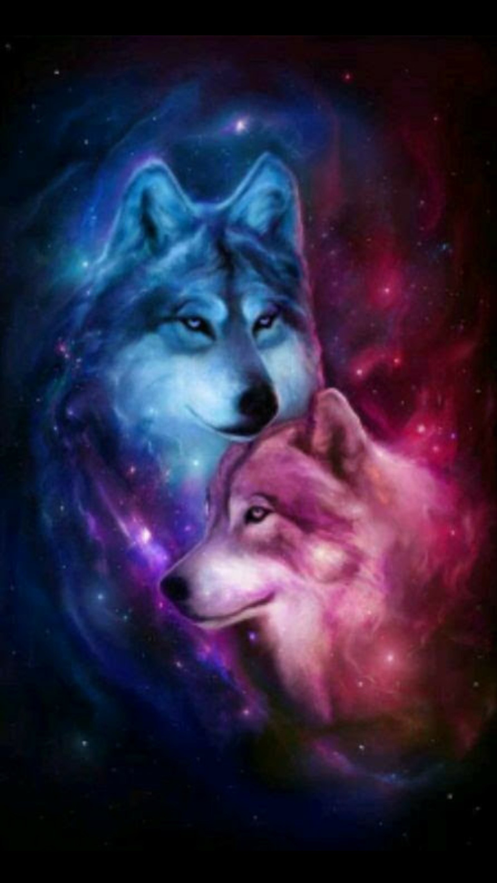 Two wolfs in the galaxy with stars and nebula (grey, king, wolf)