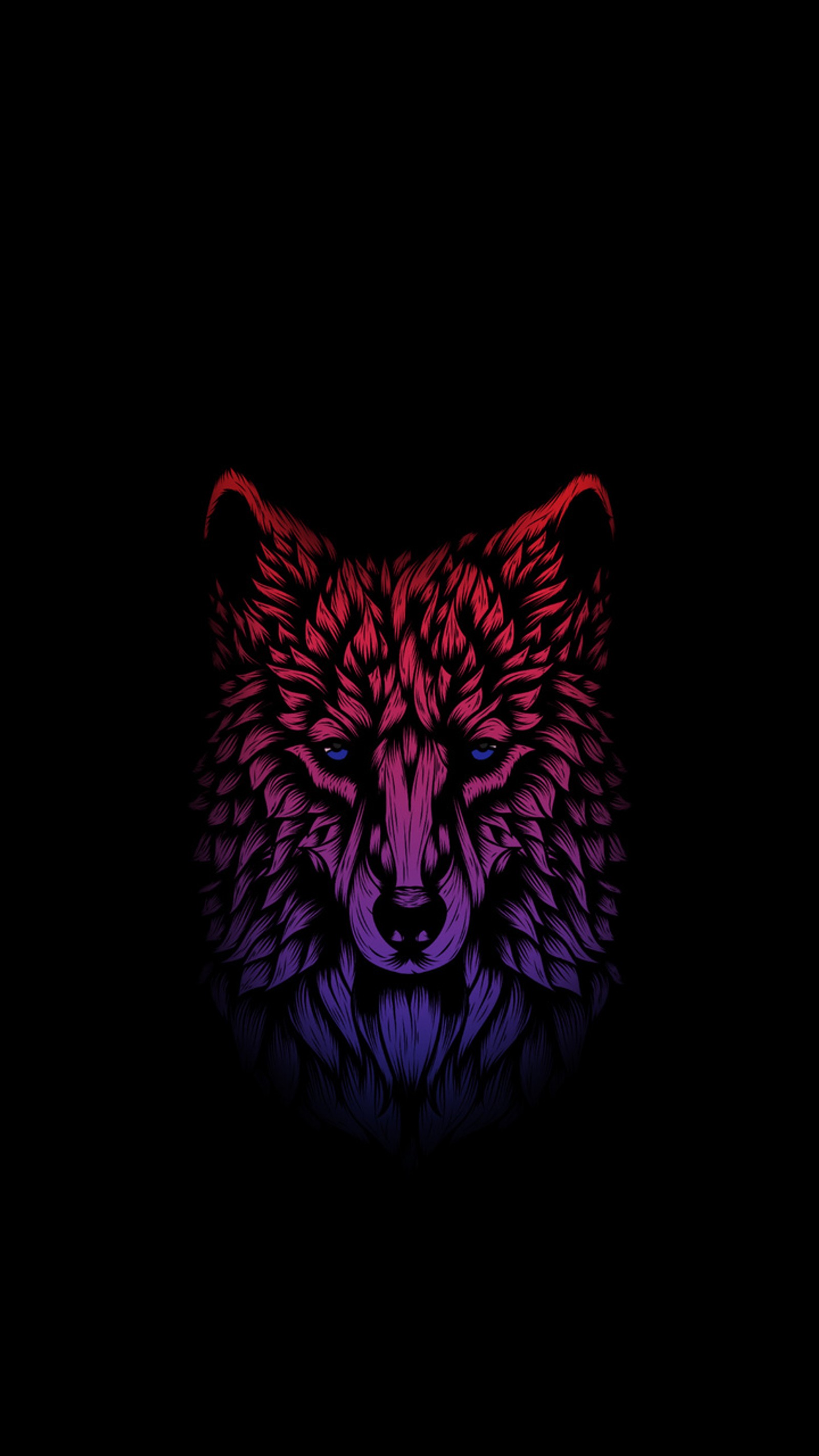 Gros plan de la tête d'un loup sur un fond sombre (abstrait, amoled, loup)