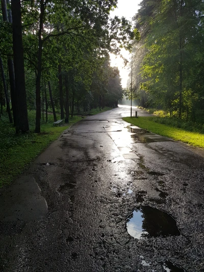 Sentier d'été tranquille après la pluie