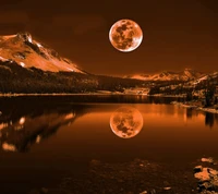 moon, nature, night wallpaper