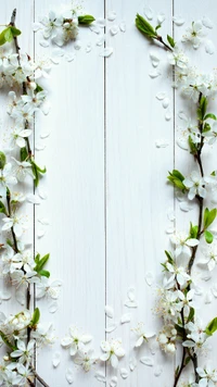 flower, leaf, white, wood