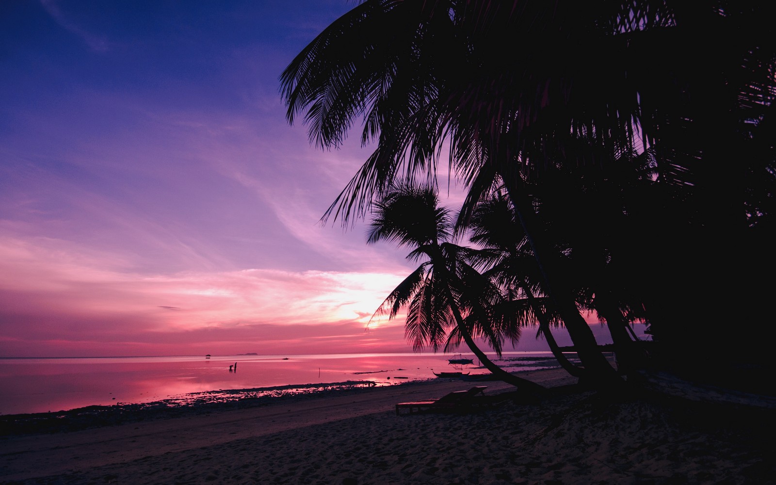 Arafed palm trees on a beach at sunset with a boat in the distance (sunset, horizon, sea, sky, sunrise)