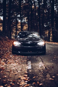 BMW on a Quiet Autumn Road Surrounded by Foliage