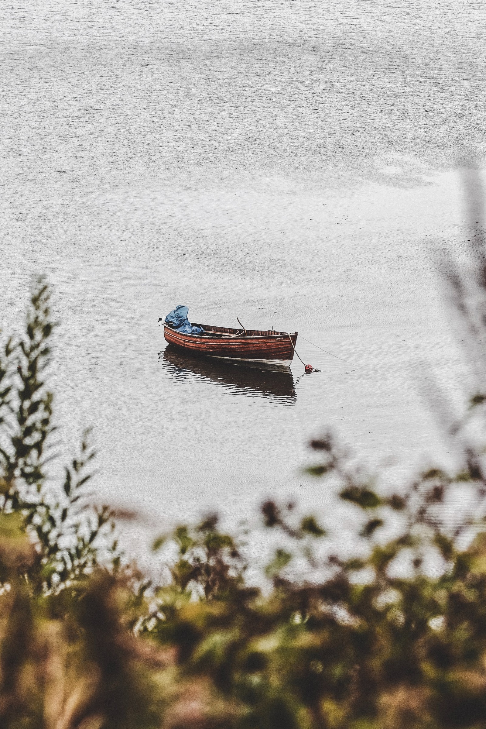 Hay un pequeño bote flotando en el agua cerca de un árbol (cielo, rio, tranquilo, agua, transporte acuático)