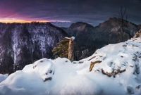 Paysage d'hiver serein : Montagnes enneigées sous un ciel coloré