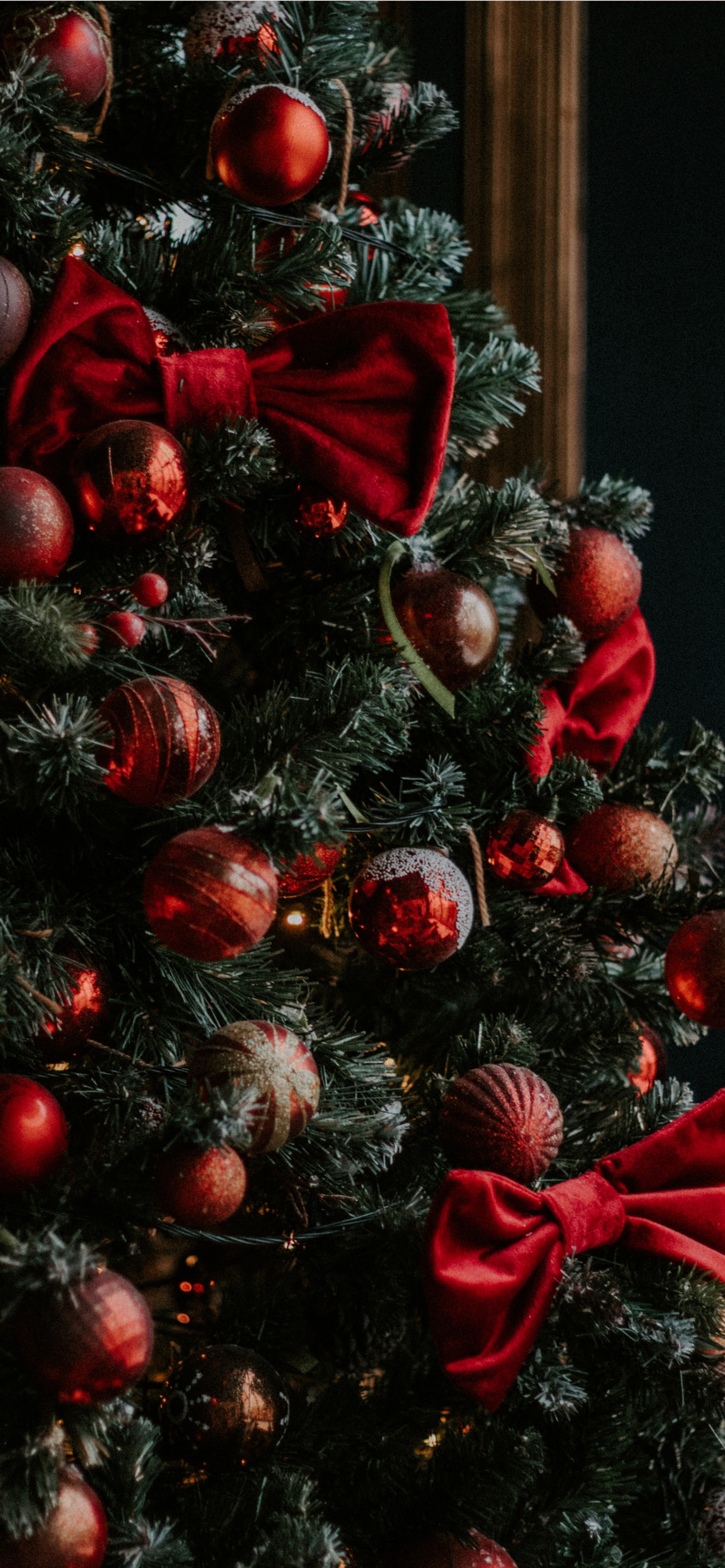 Lade weihnachten, weihnachtsbaum, weihnachtsornament, zweig, weihnachtsschmuck Hintergrund herunter