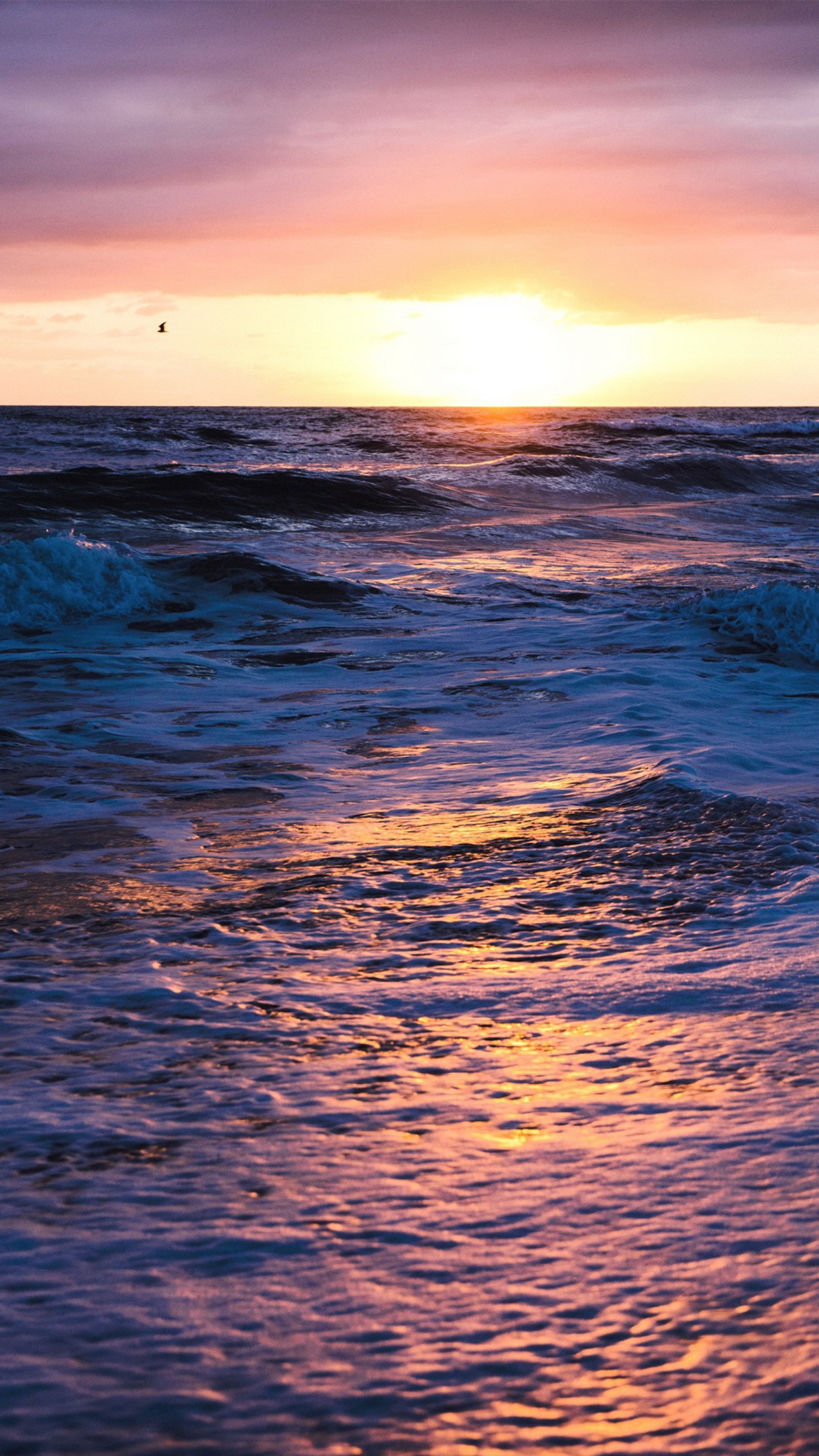 Des surfeurs surfent sur les vagues de l'océan au coucher du soleil avec un oiseau volant au loin (coucher de soleil, océan, mer, nuage, eau)