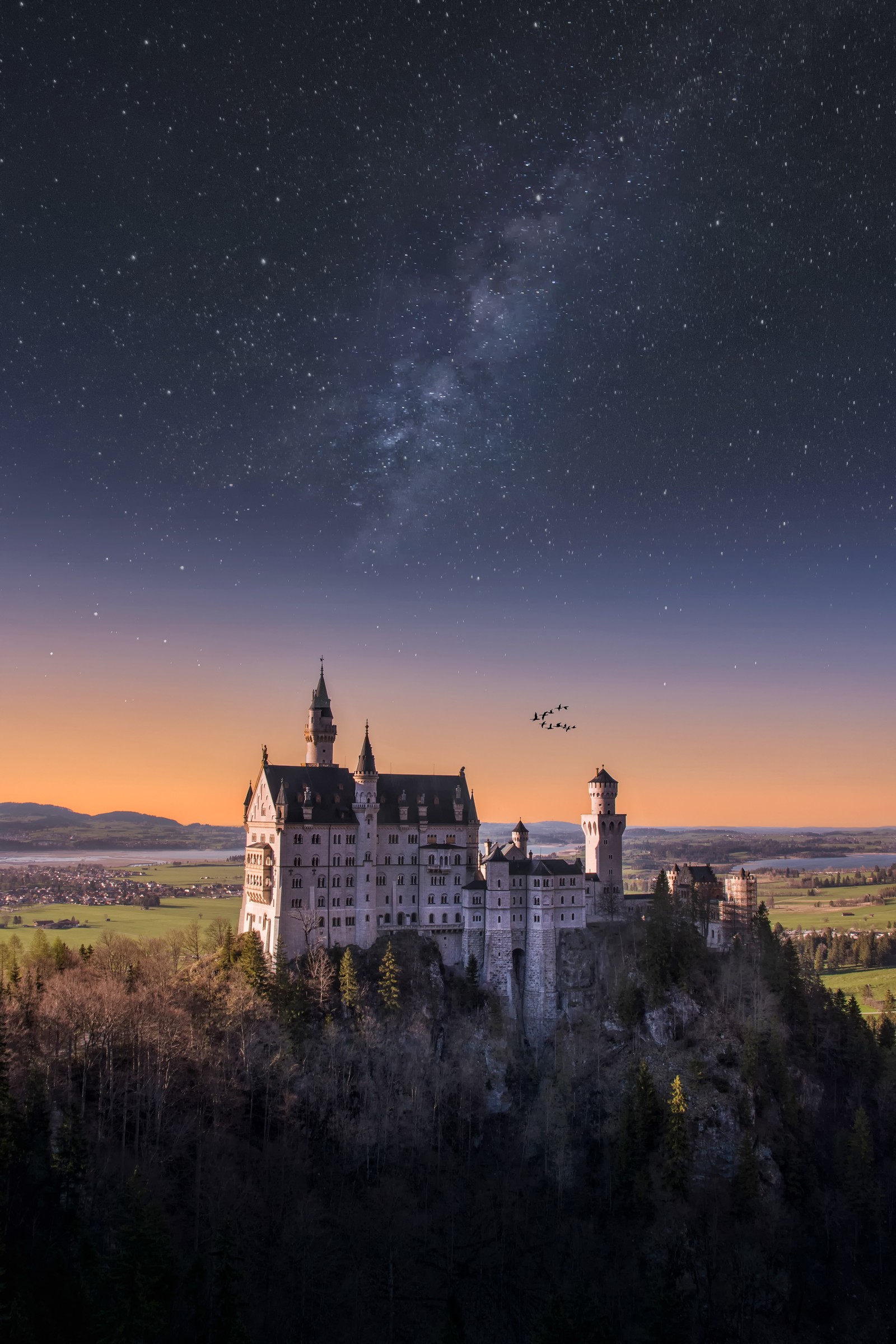 Sternenhimmel über einem schloss mit einem darüber fliegenden vogel (schloss neuschwanstein, 5k, deutschland, landschaft, sternenhimmel)