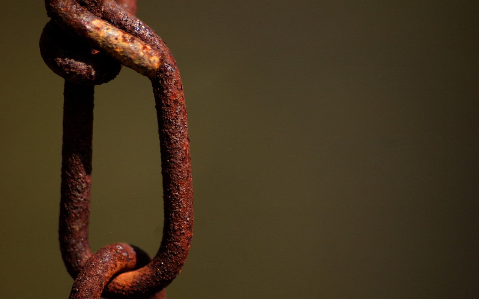 There is a rusted metal chain hanging from a pole (rust, metal, chain, serpent, corrosion)