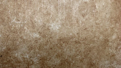 Brown Stucco Wall Texture with Subtle Variations