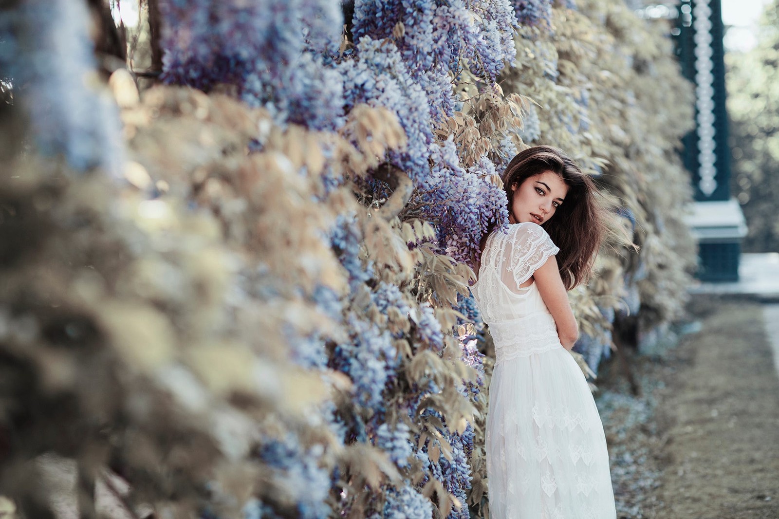 Frau in einem weißen kleid, die sich an eine wand mit lila blumen lehnt (kleid, schönheit, baum, mode, hochzeitskleid)