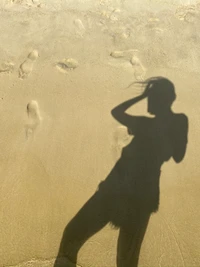 Silhouette and Shadows on Sand: A Play of Light and Balance