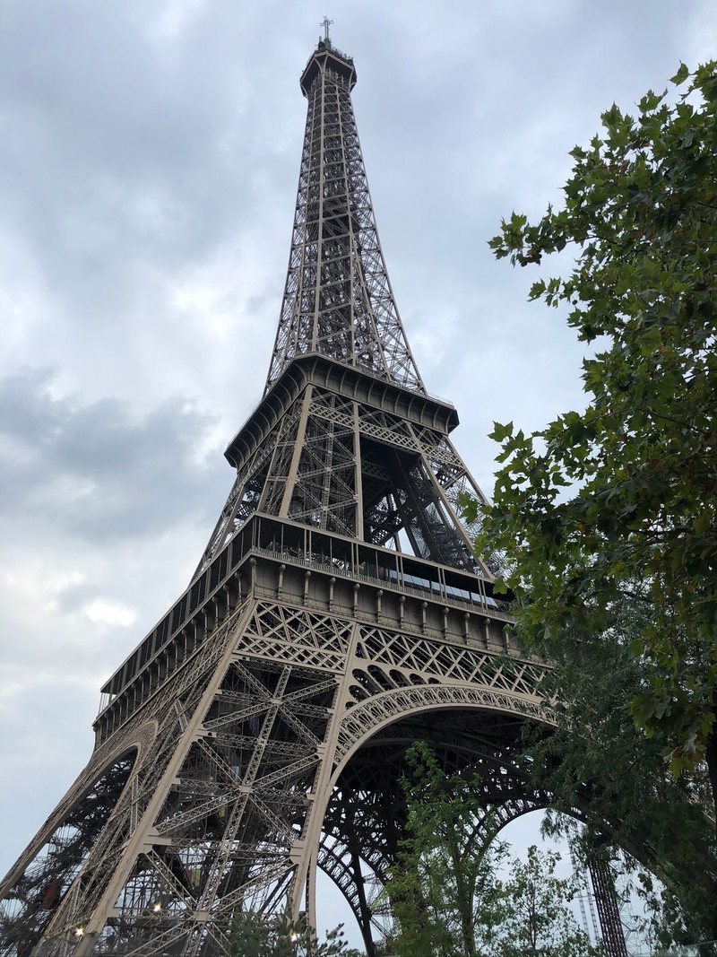 Птица сверху видит эйфелеву башню с земли (париж, paris, эйфелева башня, лондон, london)