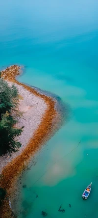 mar, oceano, costa, água, planta