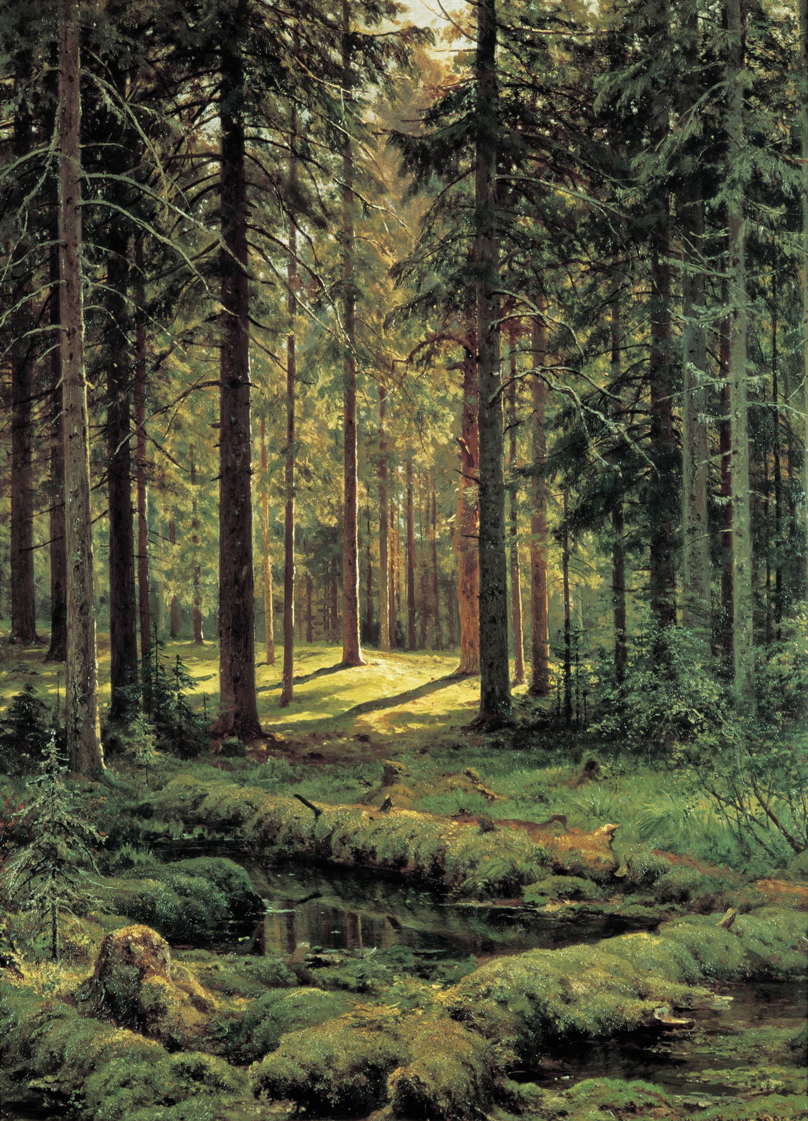 A painting of a forest with a stream in the middle of it (forest, woodland, spruce fir forest, nature reserve, temperate coniferous forest)