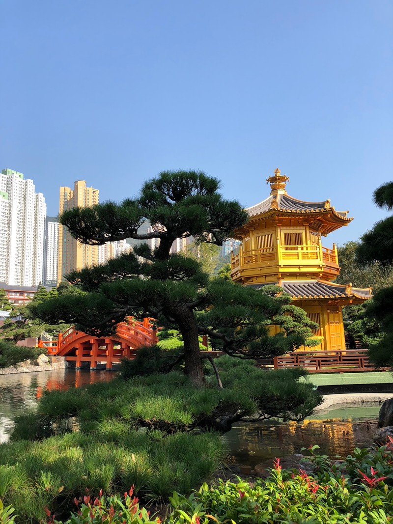 В центре пруда стоит желтая пагода (гонконг, hong kong, природа, ботанический сад, достопримечательность)