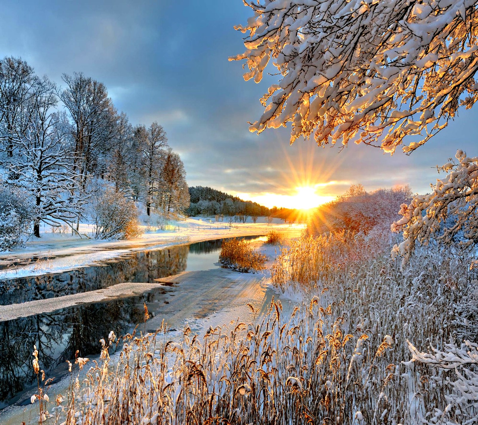 A view of a snowy river with a bridge and trees (nature)