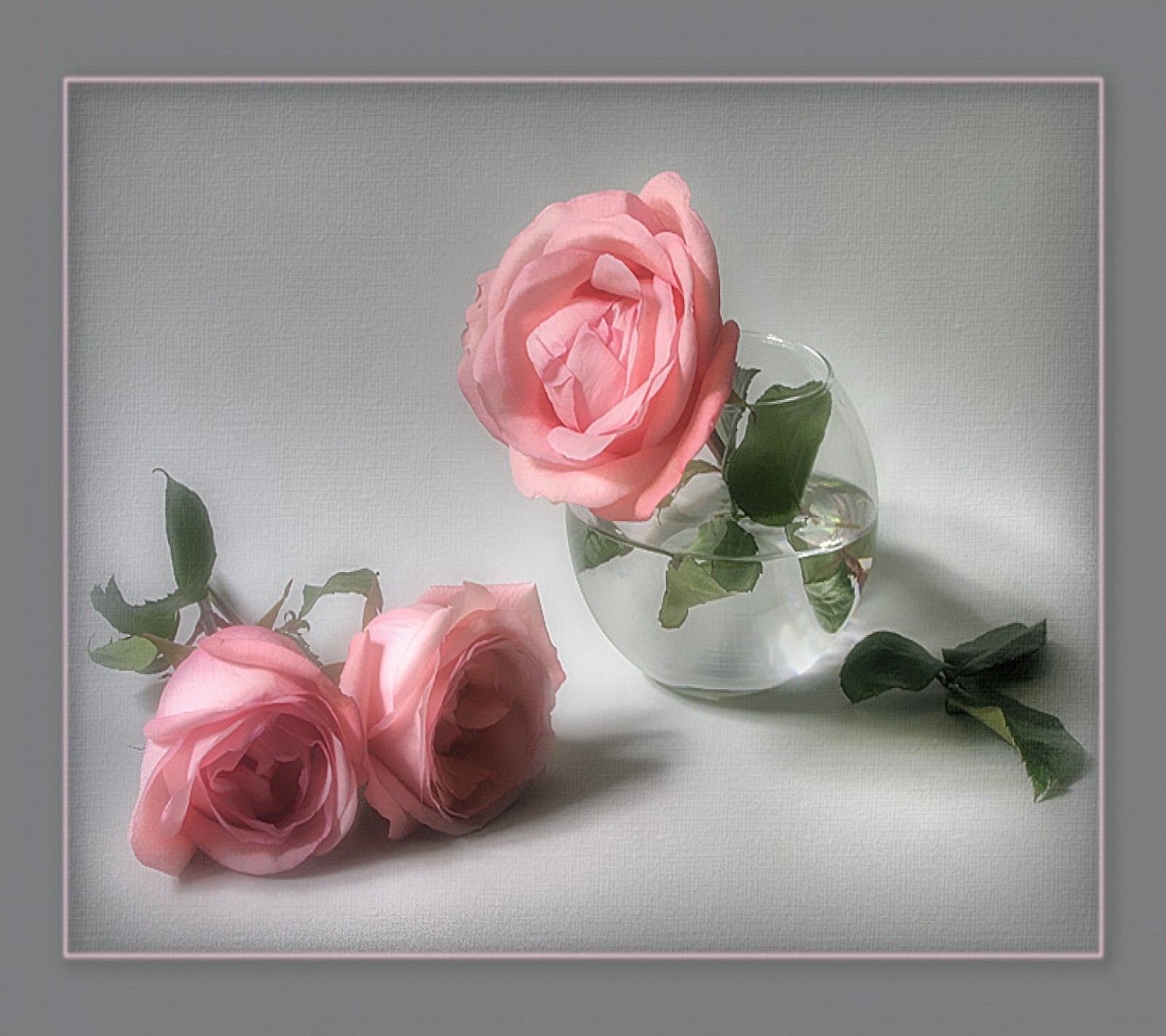 Il y a deux roses roses dans un vase sur une table (beau, roses)