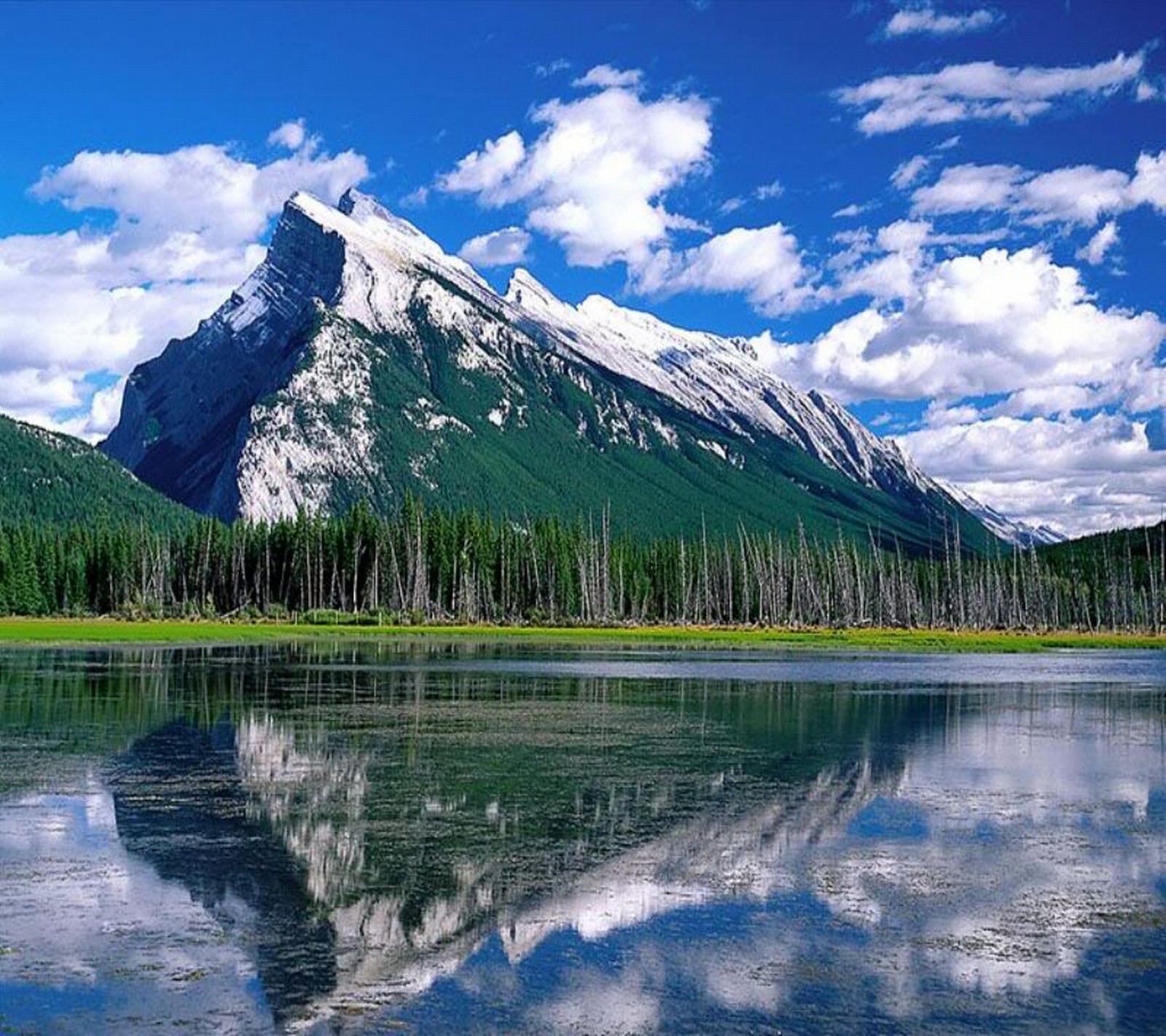 Mountains reflected in a lake with trees and clouds (landscape, mountain, nature, water)