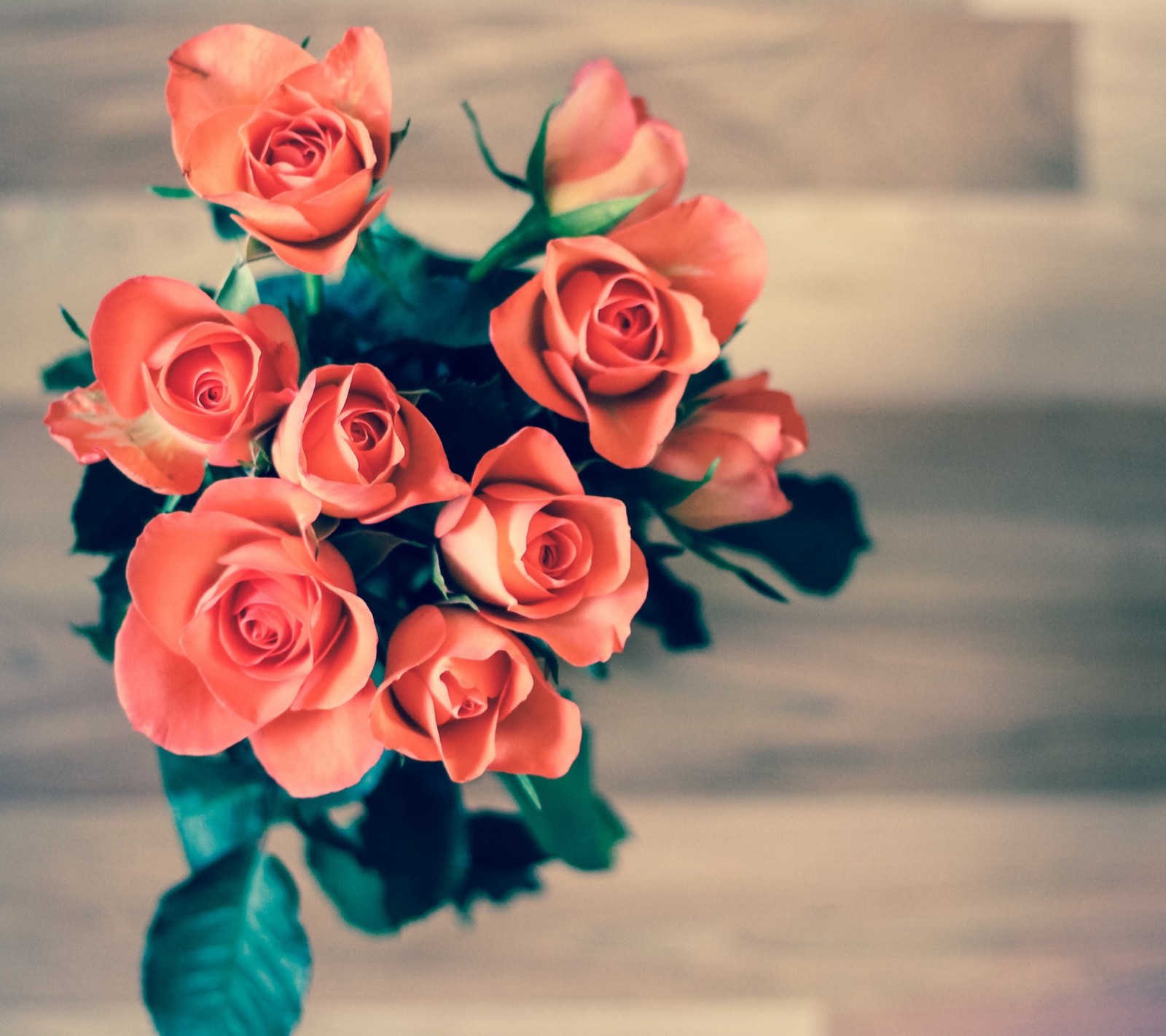 Hay muchas rosas en un jarrón sobre una mesa (flor, rojo, rosas)