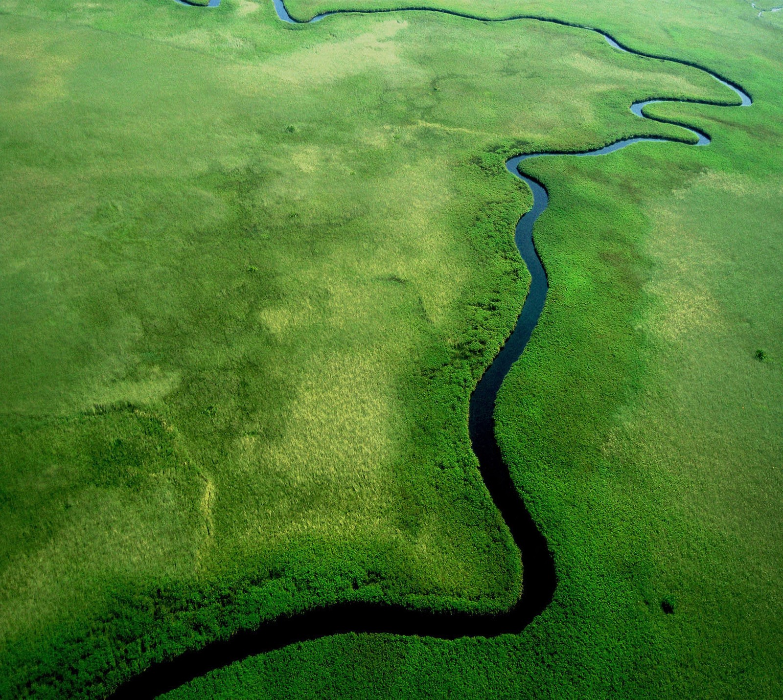 Arafed view of a river running through a lush green field (abej, beograd, green)