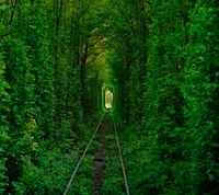 abej, beograd, liebe, eisenbahnen