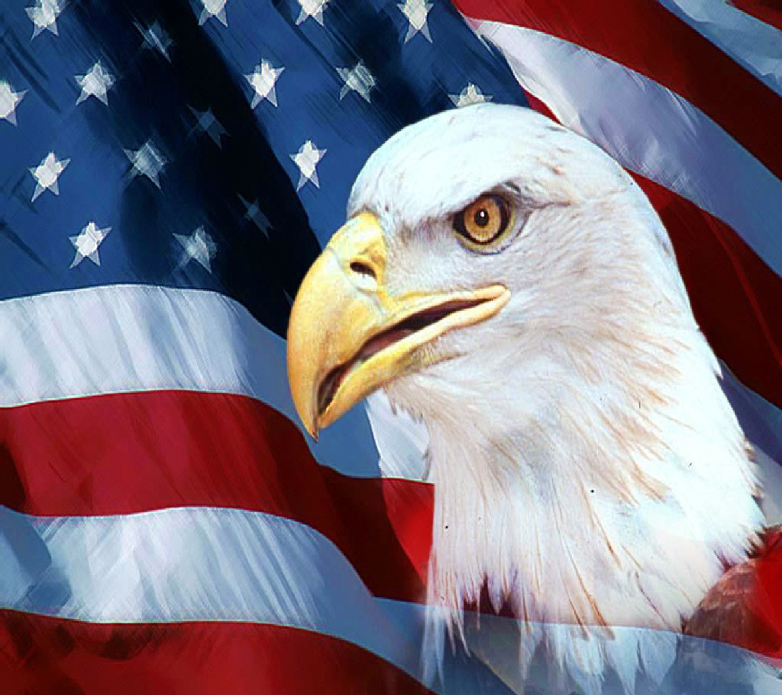 Bald eagle with american flag background (eagle, wallpaper)