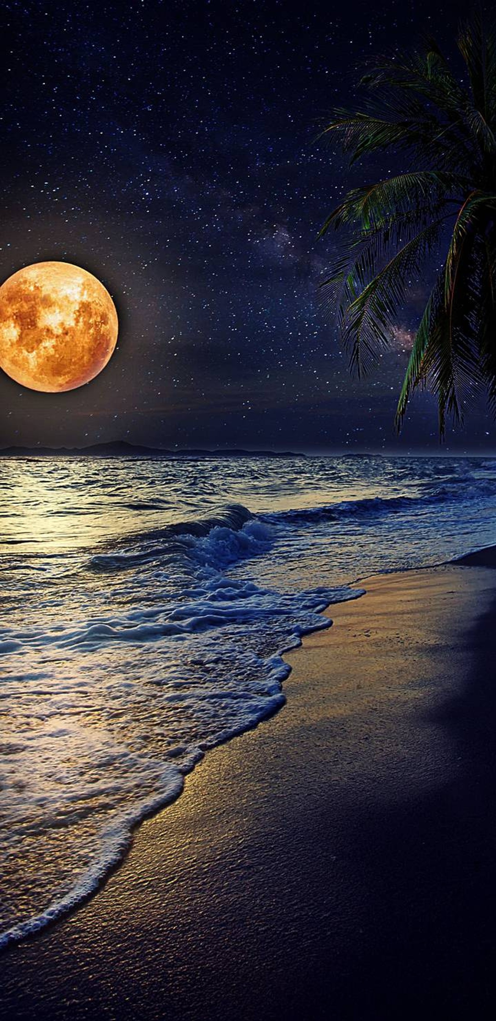 beautiful, moon, moonlight, night, nighttime wallpaper