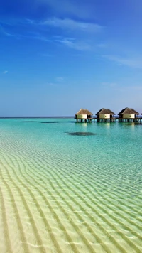 Serenes tropisches Paradies mit Überwasserbungalows