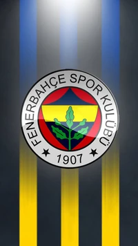 fenerbahçe, fenerbahce, fifa, fußball, sport