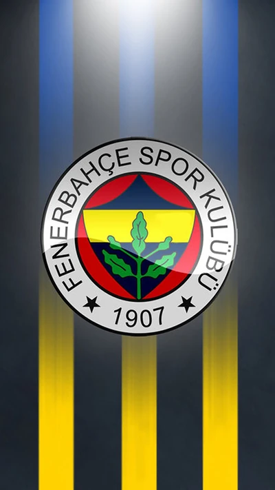 fenerbahce, fifa, football, soccer, sport