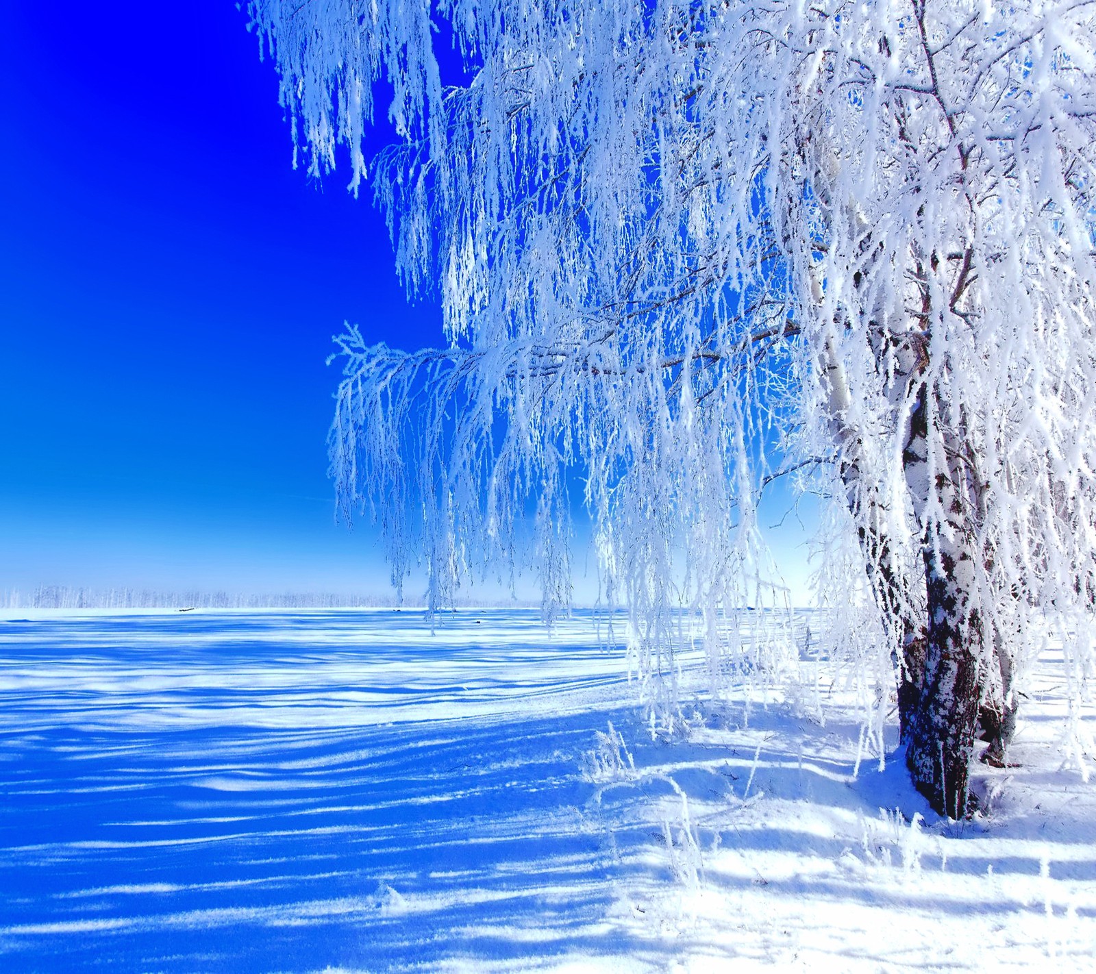 Baixar papel de parede paisagem, inverno