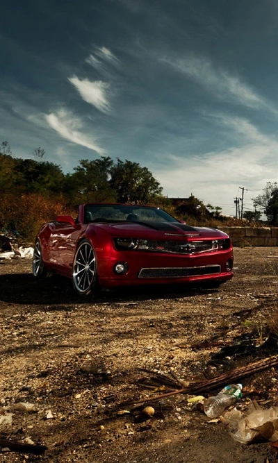 camaro, voiture, route, ciel, roue