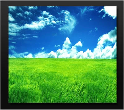 azul, nubes, pasto, verde, naturaleza