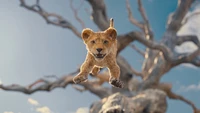 Young lion cub leaping through the air against a dramatic sky and barren tree backdrop.