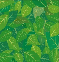 Illustration d'un motif de feuilles vertes vibrantes