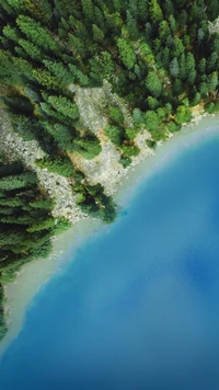 Eaux azur et côte luxuriante : un paysage naturel serein