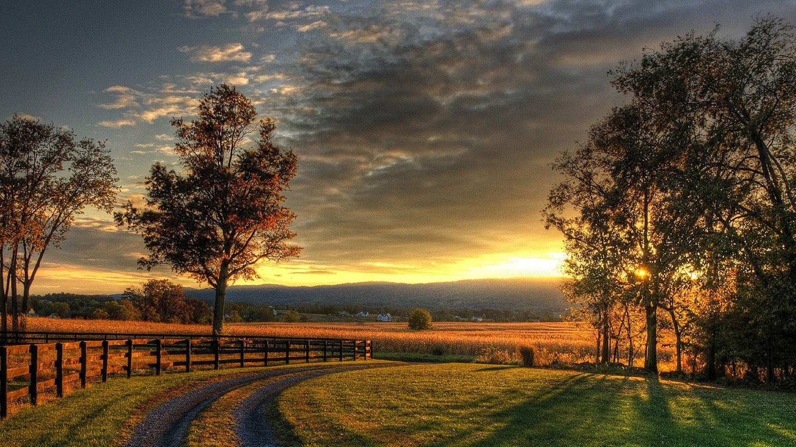 Uma vista de uma estrada rural em um campo com uma cerca (natureza, nuvem, nascer do sol, árvore, por do sol)