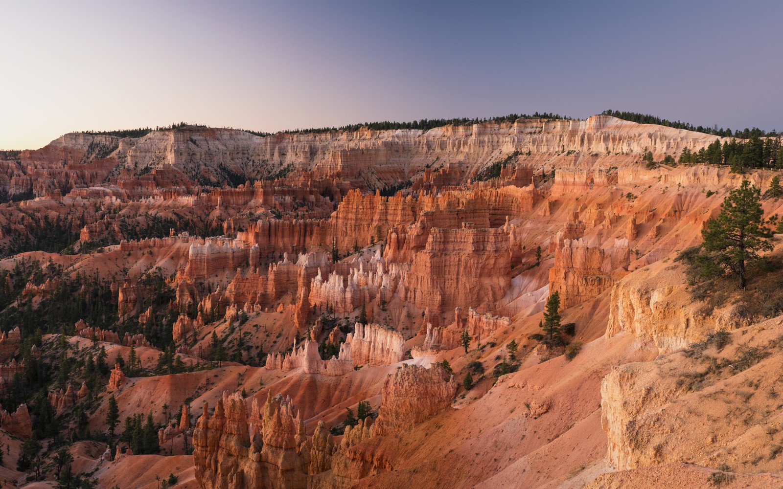 A view of the canyons of bryce canyon in bryce canyon state park, utah (grand canyon national park, arches national park, grand canyon, canyonlands national park, antelope canyon)