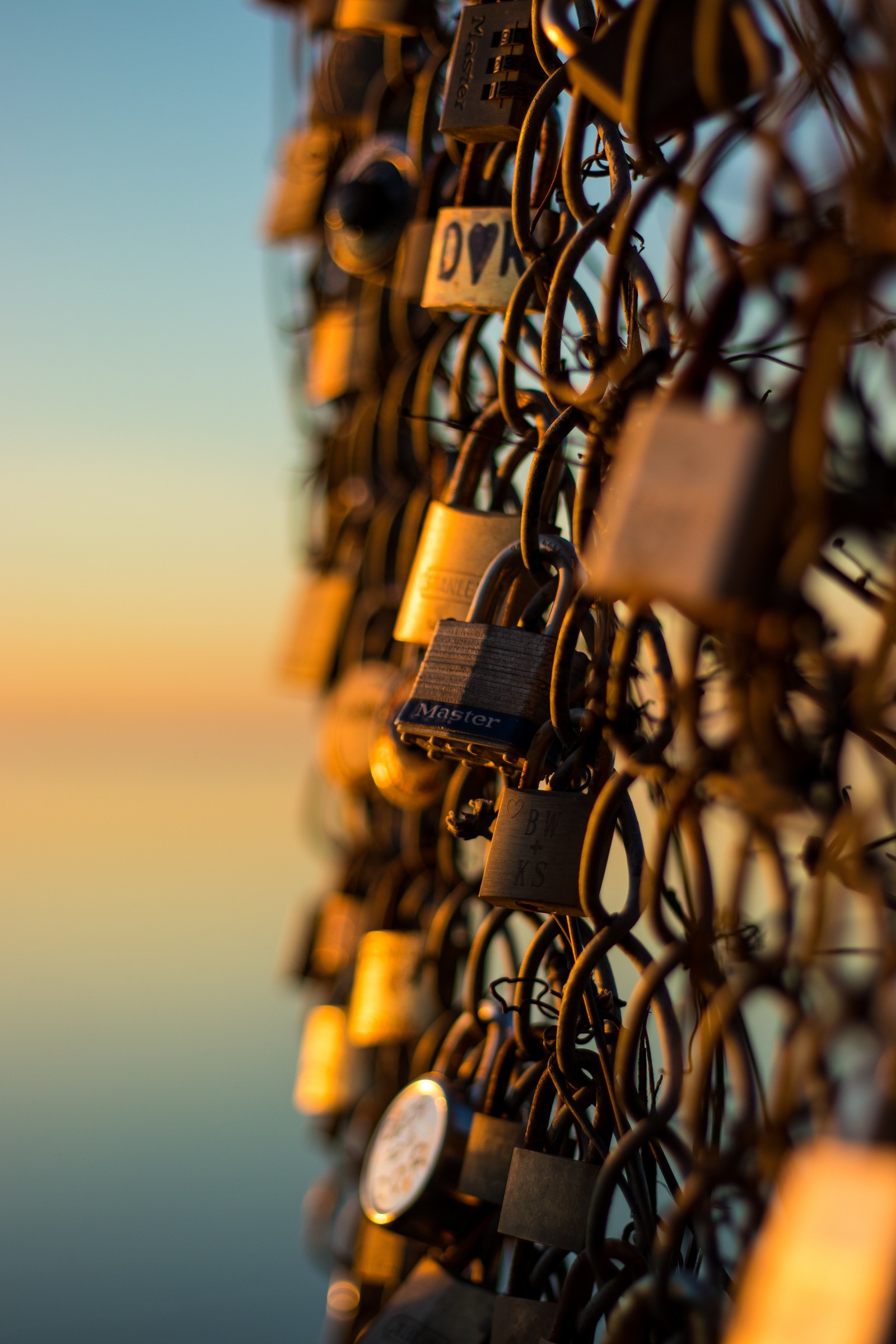 Il y a beaucoup de cadenas attachées à une clôture au bord de l'eau (cadenas, jaune, eau, architecture, ensoleillement)