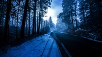 bosque, carretera de invierno, invierno, nube, atmósfera