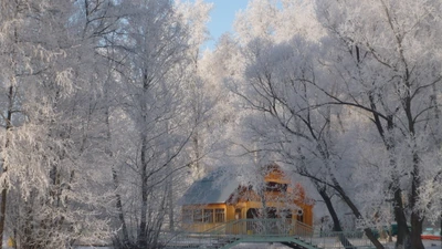 Mit Frost bedeckte Bäume umgeben eine gemütliche Hütte in einem Winterwunderland