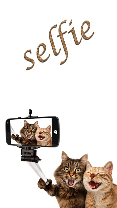 Dos gatos tomando un divertido selfie con un teléfono inteligente