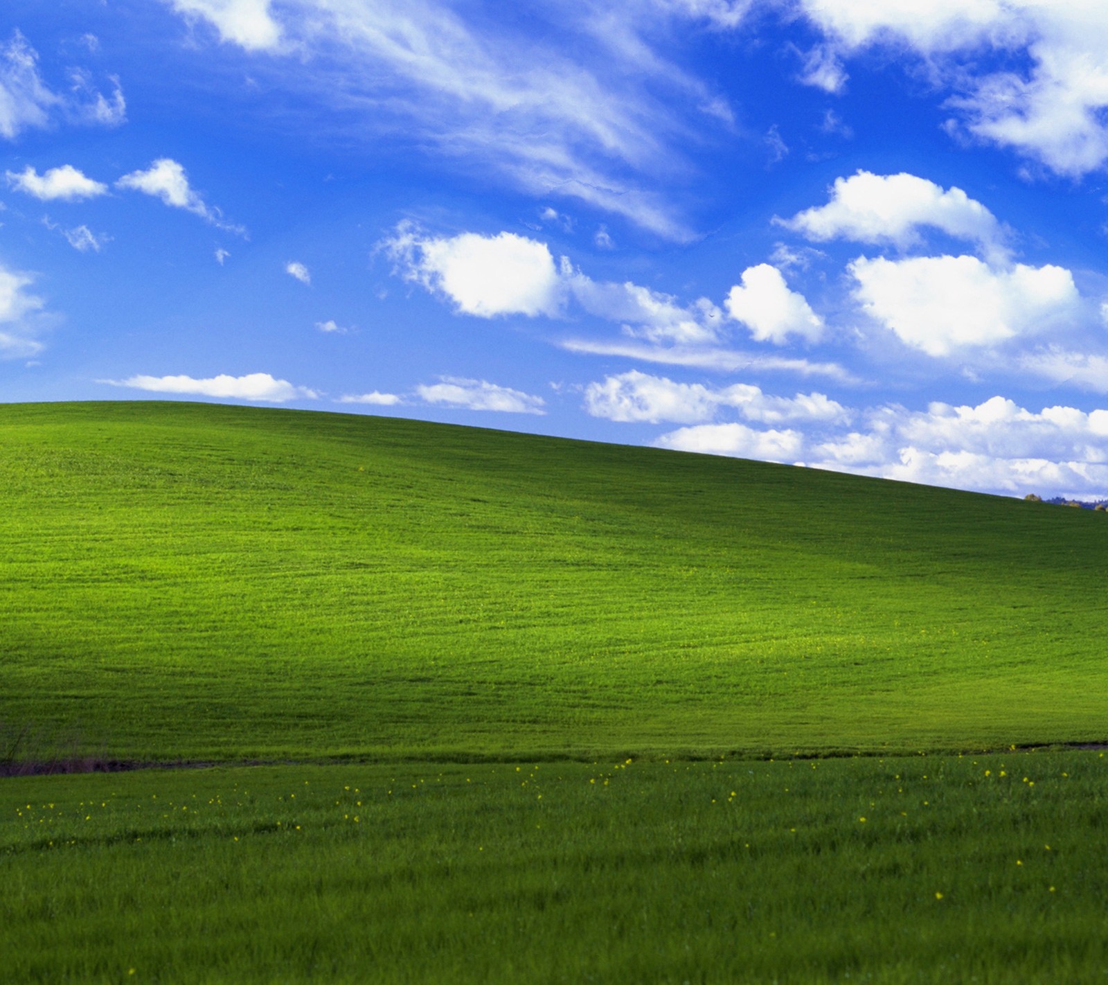 Arafed green field with a blue sky and clouds (luna, microsoft, windows, windows xp)