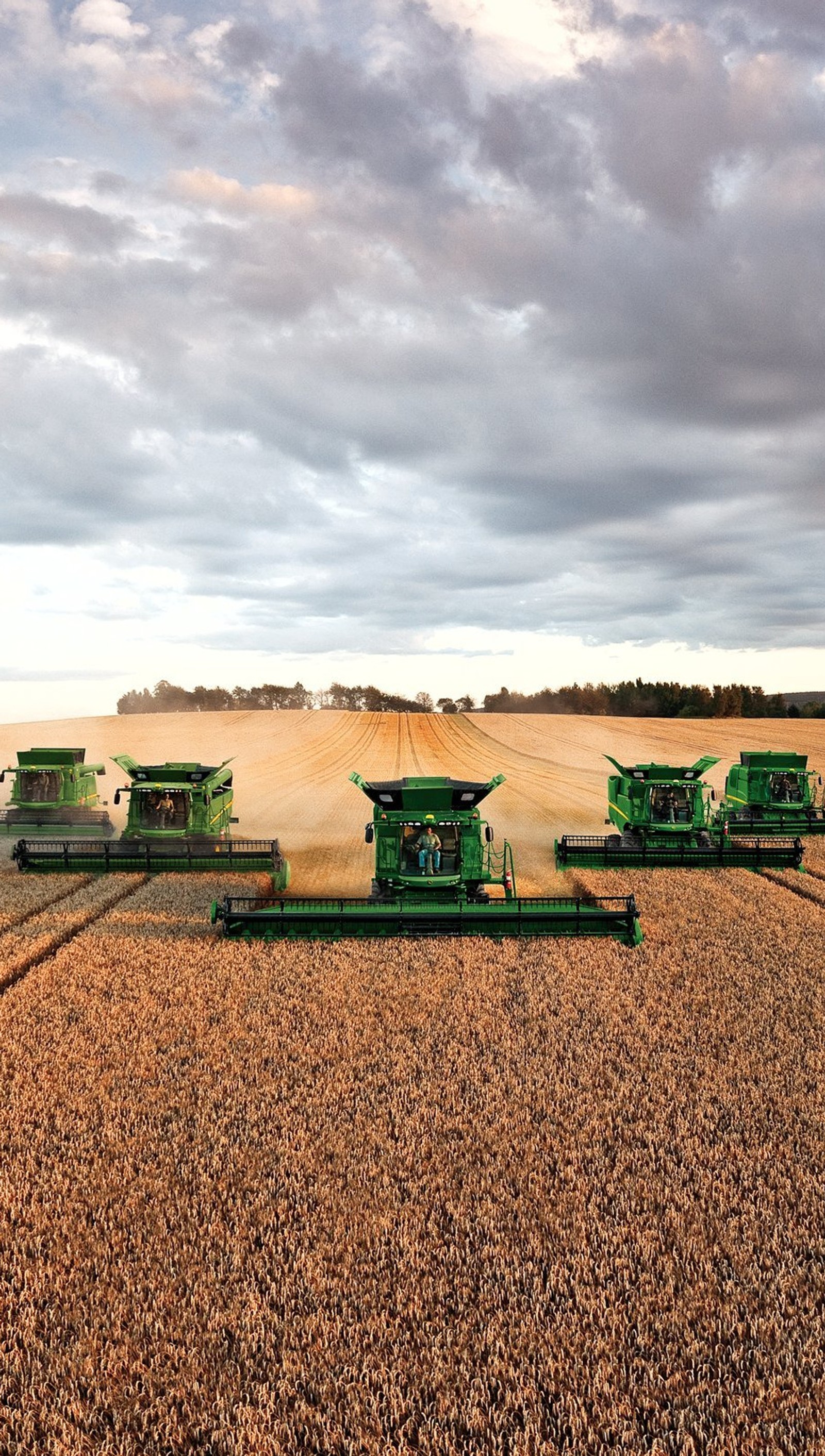 Une image floue de moissonneurs dans un champ de blé sous un ciel nuageux (agriculture, industriel, john deere, tracteur)